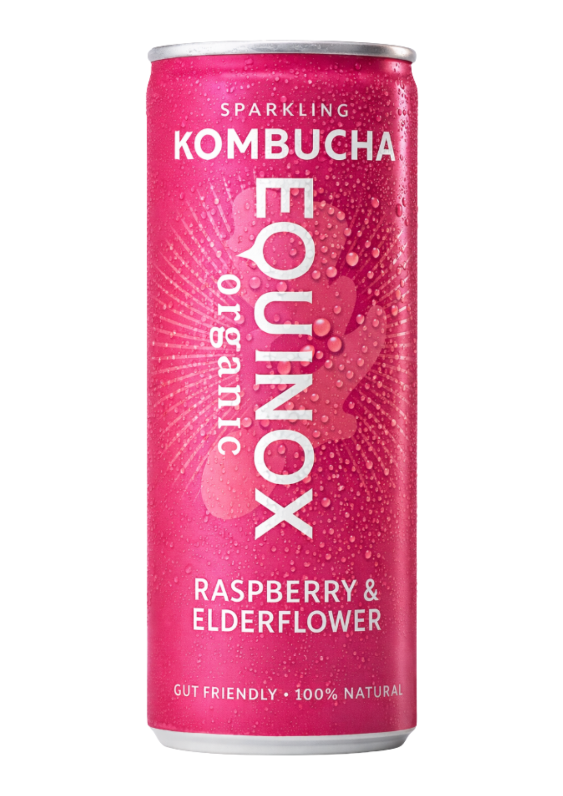 Equinox Organic Kombucha Raspberry Elderflower 12 x 250ml