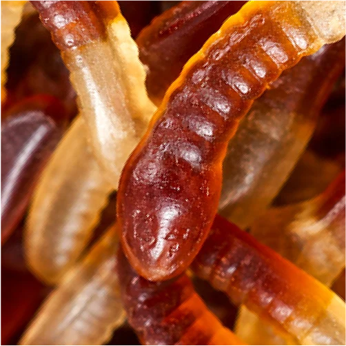 Bebeto Cola Snake 6 x 2kg