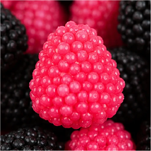 Bebeto Red & Black Berries 6 x 2kg